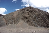 <strong>What type of structure is shown in this figure? </strong> A) thrust fault B) anticline C) syncline D) monocline E) basin