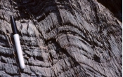 <strong>What type of metamorphic feature is shown in this photograph? </strong> A) thrust fault B) normal fault C) cleavage D) hornfels