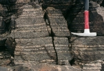 <strong>What type of metamorphic rock is shown here? </strong> A) slate B) hornfels C) greenstone D) banded gneiss