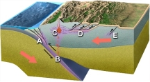 In what site on this figure would you expect high pressure/low temperature metamorphism?  