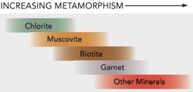 Based on the image and your knowledge of metamorphic minerals, which of the following is true?