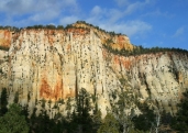 What features are shown in this photograph of unmetamorphosed sandstone?