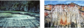 Which of the following is primarily responsible for the blocky and/or linear features shown?