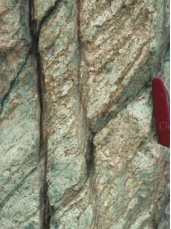 What feature is displayed as the two prominent, vertical lines cutting across the metamorphic rock in the image?