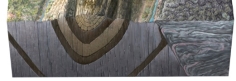 How would you describe the fold shown in this cross section?
