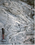 This rock is a black and white banded rock with coarse crystals of biotite, quartz, and garnet. Foliation is associated with the folds. What is the correct name for this rock?  