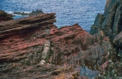 <strong>What type of feature is shown in this photograph of Siccar Point, Scotland? </strong> A) monocline B) thrust fault C) normal fault D) unconformity