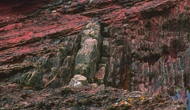 <strong>James Hutton inferred that the rocks below the contact at Siccar Point were vertical gray sandstone and shale and the rocks above were gently dipping red sandstone and conglomerate. Therefore, the histories of these rocks: </strong> A) are different B) are the same C) are not able to be interpreted