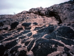 <strong>This photograph shows an upper light-colored conglomerate and a lower dark basalt. Which of the following statements is true? </strong> A) the conglomerate is older because it overlies the dark basalt B) the conglomerate is younger because it contains clasts of the dark basalt C) the basalt is younger because it is crosscut by fractures filled with conglomerate D) none of these