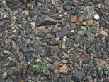 <strong>What kind of geologic feature is shown in this photograph? </strong> A) contact metamorphism B) unconformity C) desert varnish D) desert pavement E) none of these
