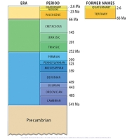 <strong>This figure shows the geologic timescale. Which period listed below would be part of the Paleozoic? </strong> A) Permian B) Pennsylvanian C) Mississippian D) Cambrian E) all of these