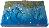 <strong>Which of the numbered features on this figure is a continental slope? </strong> A) 1 B) 2 C) 3 D) 4