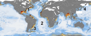 <strong>Which of these numbers has the thinnest sequence of marine sediments? </strong> A) 1 B) 2 C) 3 D) 4 E) none of these
