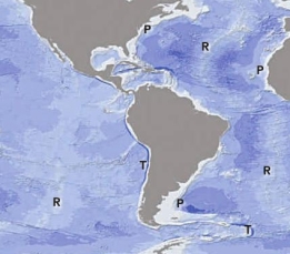 <strong>Which area shown on the map has the shallowest seafloor depth? </strong> A) P) passive continental margin B) R) oceanic ridge C) T) trench