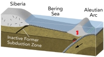 <strong>Which of the following is the present plate-tectonic setting of oceanic crust in the Bering Sea? </strong> A) it contains a mid-ocean ridge B) it is being generated by back-arc spreading C) it does not contain any currently active plate boundaries D) it was formed by thinning of continental crust