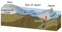 <strong>Which of the following is the presently occurring near the Sea of Japan? </strong> A) oceanic crust in the sea of Japan is being generated by back-arc spreading B) Japan is moving closer to Asia over time C) Volcanoes in Japan are related to subduction of oceanic crust that forms in the Sea of Japan D) all of these