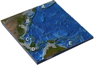 <strong>Which of the following letters marks the Sea of Japan? </strong> A) A B) B C) C D) D E) E