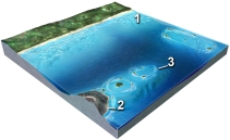 <strong>Which of these numbered features is an atoll? </strong> A) 1 B) 2 C) 3 D) all of these E) none of these