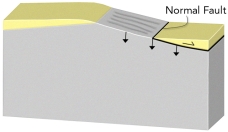 <strong>If you had this type of deformation of a region, it would: </strong> A) thicken the crust and cause subsidence B) thicken the crust and cause uplift C) thin the crust and cause subsidence D) thin the crust and cause uplift E) none of these