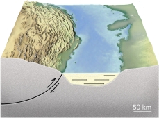 <strong>Why is there a basin associated with some thrust faults? </strong> A) thrust faults thin the crust and cause subsidence B) thrust faults form passive margins C) thrust sheets depress the crust in front of the thrust D) thrust sheets form a continent rift