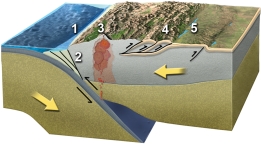 <strong>Which of these numbered features is a foreland basin? </strong> A) 1 B) 2 C) 3 D) 4 E) 5