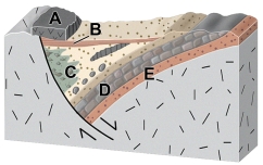 <strong>The basin shown in this figure was actively subsiding during the formation of unit: </strong> A) A B) B C) C D) D E) E