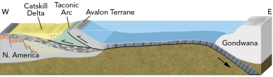 What geologic events are expressed in this cross section showing the interpreted geologic setting of the eastern U.S. during middle Paleozoic time?