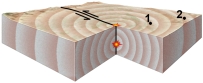 <strong>What do the two stars near the center of this block represent? </strong> A) the location of the earthquake B) the star at depth is the place where the earthquake is generated C) the star at depth is the hypocenter D) the star on the surface is the epicenter E) all of these