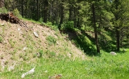 <strong>The fault scarp in this photograph apparently formed: </strong> A) when an earthquake rupture offset the surface B) when the area beneath the car was dropped down relative to the area to the left C) more than 50 million years ago D) when material on the left was compacted E) all of these