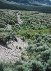 <strong>The image shows a surface expression of slip along a normal fault caused by an earthquake. What is the indicated feature? </strong> A) fault scarp B) hanging wall C) graben D) hypocenter