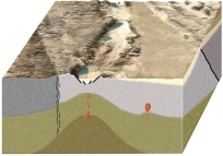 <strong>The continental block shown in this figure has a transform boundary, a reverse fault, and a continental rift. What type of activity could cause an earthquake here? </strong> A) strike-slip faulting B) normal faulting C) reverse faulting D) movement of magma near the rift E) all of these