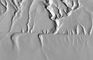 <strong>What feature suggests that this is a strike-slip fault rather than some other kind of fault? </strong> A) the presence of a fault scarp B) the soft appearance of the landscape C) the horizontal offset of the drainage channel D) differences in vegetation across the fault E) the lack of human development