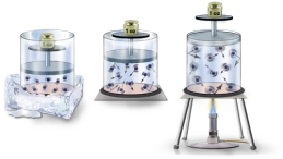<strong>Heat is applied to a container. The molecules inside the container become:  </strong> A) more energetic; pressure increases B) less energetic; pressure increases C) less energetic; pressure decreases D) more energetic; pressure decreases <div style=padding-top: 35px> 
