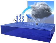 <strong>What is the relationship between water vapor at point A and water droplets at point B?  </strong> A) warm vapor at A is caused by the heat released in condensation at point B B) warm vapor at A is likely not related to condensation at point B C) warm vapor at A causes cooling and condenses to liquid water at point B D) water evaporates at point A, rises, and then cools and condenses at point B E) vapor and water droplets are the behaving the same way <div style=padding-top: 35px> 