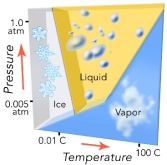 <strong>This diagram shows the conditions under which the three phases of water can exist. Which of the following is NOT true?  </strong> A) increasing temperature can cause ice to become liquid B) increasing temperature can cause liquid to become vapor C) at low pressure, increasing temperature can cause ice to become vapor D) decreasing pressure can convert vapor to ice or a liquid <div style=padding-top: 35px> 