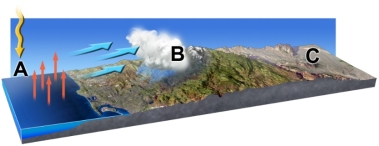 <strong>In this model of atmospheric water, why is location C a desert?  </strong> A) the atmosphere cannot rise above the mountains that shadow the area B) the actual shadow of clouds at B causes cold dry conditions at C C) the shadow of the mountains keeps plants from growing at C D) the water vapor sinking at A keeps point C dry E) moist air is forced to rise and cool over the mountains, decreasing the amount of water vapor available to point C <div style=padding-top: 35px> 