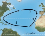 <strong>For these ocean currents in the Atlantic, which of these currents is mostly likely to be a warm current?  </strong> A) 1 B) 2 C) 3 D) both 1 and 3 E) both 2 and 4 <div style=padding-top: 35px> 