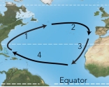 <strong>For these ocean currents in the Atlantic, which of these currents is mostly likely to be a cold current?  </strong> A) 1 B) 3 C) 4 D) both 1 and 3 E) both 2 and 4 <div style=padding-top: 35px> 