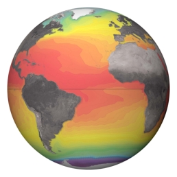 <strong>As a result of cold currents, July SST's, shown in this globe, are relatively colder  </strong> A) along the equator. B) along the north-south axis of the Atlantic Ocean. C) near the east coasts of continents. D) near the west coasts of continents. <div style=padding-top: 35px> 