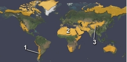 <strong>The area marked by number 2 on this figure is a desert primarily because:  </strong> A) it is in the rainshadow of a mountain range B) it is cooled by cold currents from the Arctic C) it is within the interior of a continent D) it experiences dry, descending air in the subtropics <div style=padding-top: 35px> 