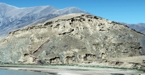 <strong>This wind-blown dust deposit loess):  </strong> A) was deposited by a huge flood of seawater that covered the land at the time of the dinosaurs B) began as clay and silt that were produced by grinding of rocks along ice-age glaciers C) forms a world-wide layer associated with a well-known extinction of dinosaurs D) all of these <div style=padding-top: 35px> 