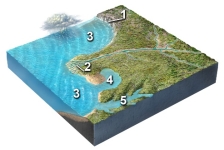 <strong>Which site will most likely experience rapid erosion?  </strong> A) 1, cliffs composed of hard rocks B) 2, sediments in a delta C) 3, the seafloor deep beneath the waves D) 4, the coastline of a bay E) 5, the coastline in a branching embayment <div style=padding-top: 35px> 