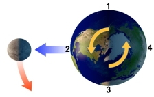<strong>With the Moon in this position, which area will experience high tide?  </strong> A) 1 B) 2 C) 3 D) 1 and 3 E) 2 and 4 <div style=padding-top: 35px> 