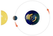 <strong>With the Sun and Moon in this position, what does the side of the earth facing the moon experience?  </strong> A) a normal high tide B) a normal low tide C) a spring tide D) a neap tide <div style=padding-top: 35px> 