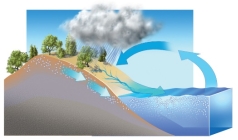 <strong>What concepts can be explained using this diagram? </strong> A) the movement of water between the oceans and the land B) how precipitation ends up in rivers or groundwater C) how weathering causes the seas to become saltier D) all of these