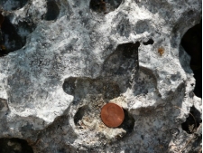 <strong>What is the main type of weathering illustrated by this weathered limestone? </strong> A) physical weathering B) dissolution C) oxidation D) exfoliation
