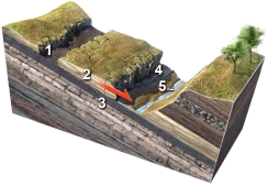 <strong>Which numbered feature on this figure is a scarp? </strong> A) 1, a linear or curved scar marking where the slide pulled away from the hill B) 2, small fractures within the sliding block C) 3, the intact layers below the rock slide D) 4, the front of the slide, where it overruns the land surface E) 5, a valley or other open space in front of the slide