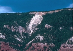 Which of the following might indicate that slopes adjacent to this landslide might fail?