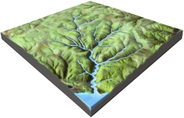 <strong>What is the mostly likely setting for this drainage pattern? </strong> A) the rocks have a relatively equal resistance to erosion B) drainages have followed a series of fractures that branch off of one another C) the area has folded or faulted rocks with different resistances to erosion D) a volcano once existed here but has been partly eroded away