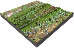 <strong>What is the mostly likely setting for this drainage pattern? </strong> A) the rocks have a relatively equal resistance to erosion B) drainages have followed a series of fractures that branch off of one another C) the area has folded or faulted rocks with different resistances to erosion D) a volcano once existed here but has been partly eroded away